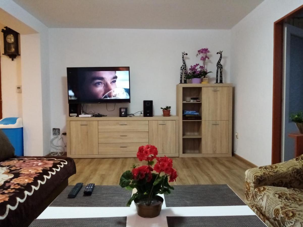 Homestay Pavel *