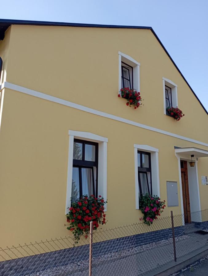 Homestay Pavel *